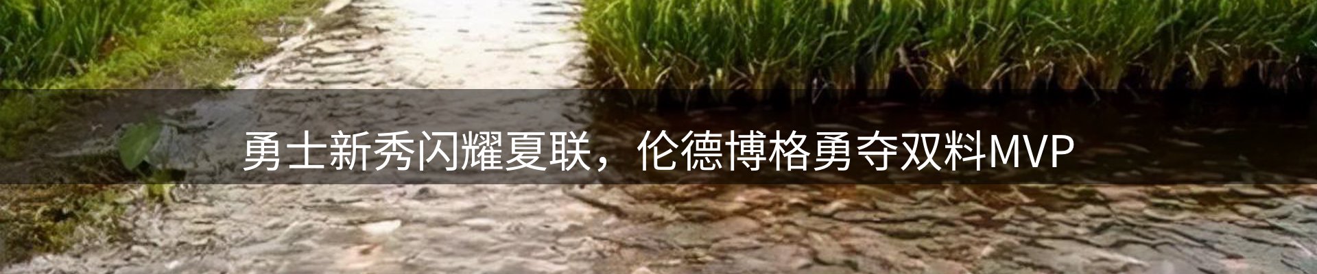 赛事资讯