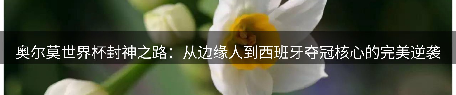 赛事资讯