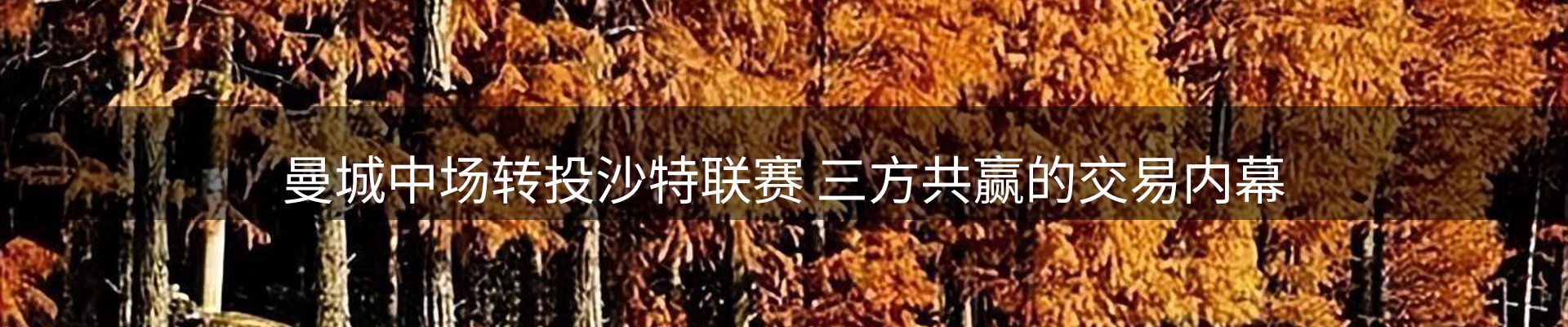 本周热点