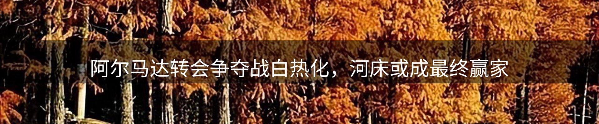 赛事资讯