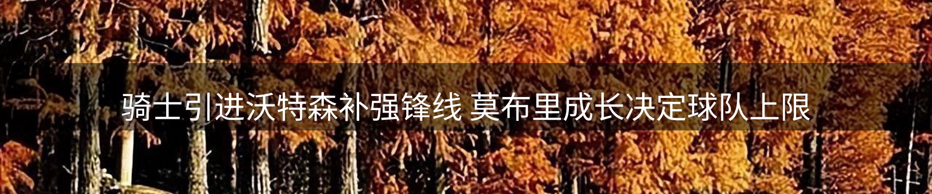 本周热点